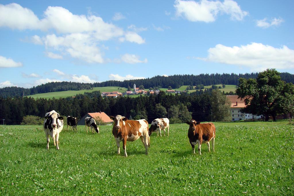 Willa Bio-Bauernhof Heidegger Möggers Zewnętrze zdjęcie